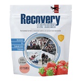 yarOsport_ru Recovery formula, 900 гр, клубника ASN
